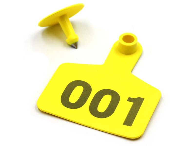 Applicazione Laser su Etichetta di Plastica